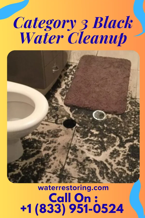 Category 3 Black Water Cleanup in Detroit, IL
